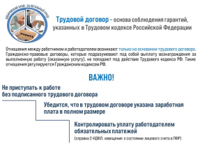 Легализация теневой занятости в Хабаровском крае