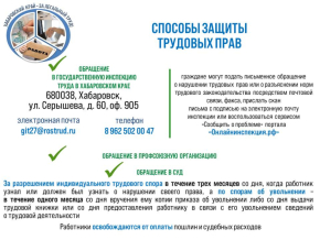 Легализация теневой занятости в Хабаровском крае