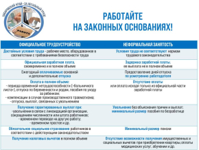 Легализация теневой занятости в Хабаровском крае